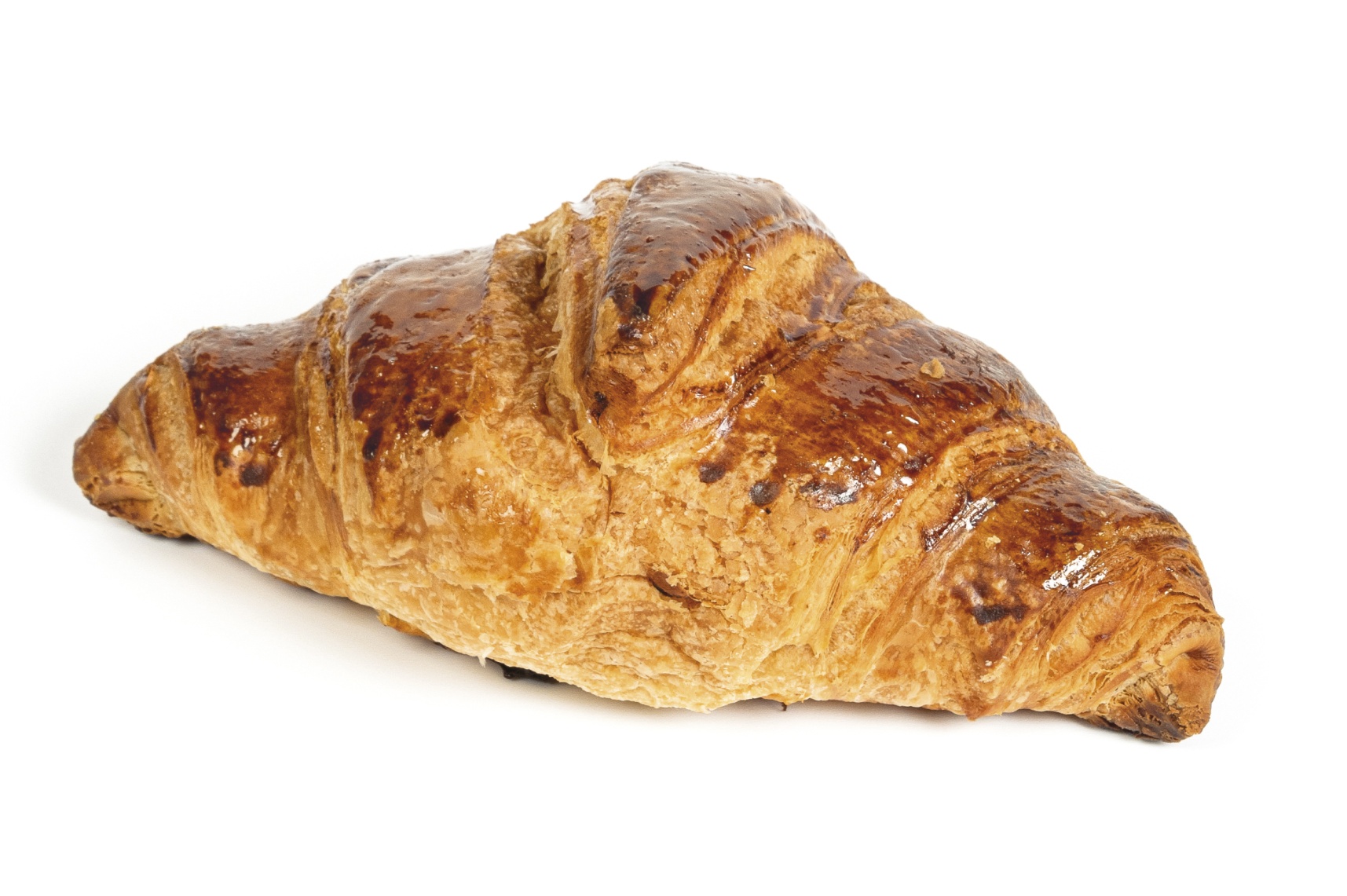Croissant de paris do wyrośnięcia